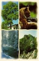 Naturpark e. V.